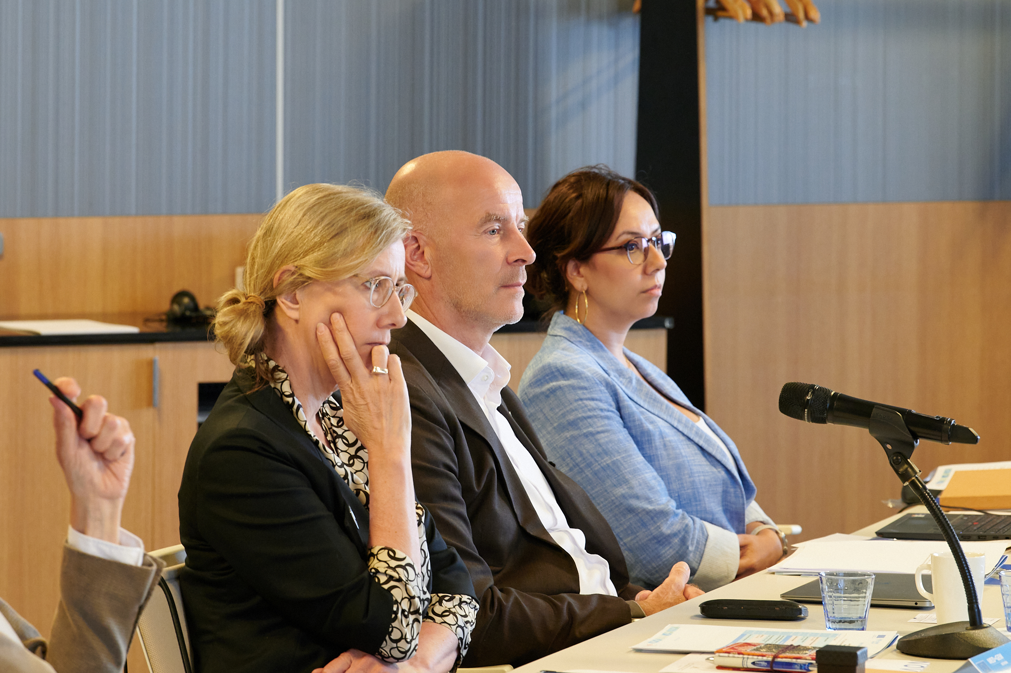 Portraits of Milou Beerepoot, Frank Wouters and Najoua Nafti during the Steering Committee