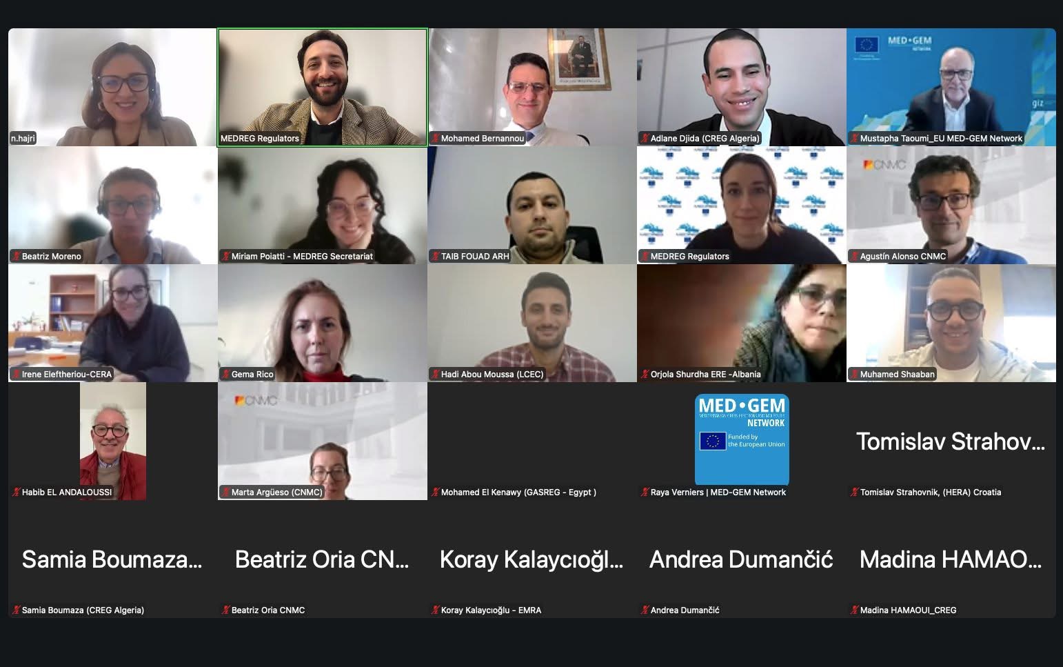 MEDREG Green Hydrogen Task Force Online Webinar