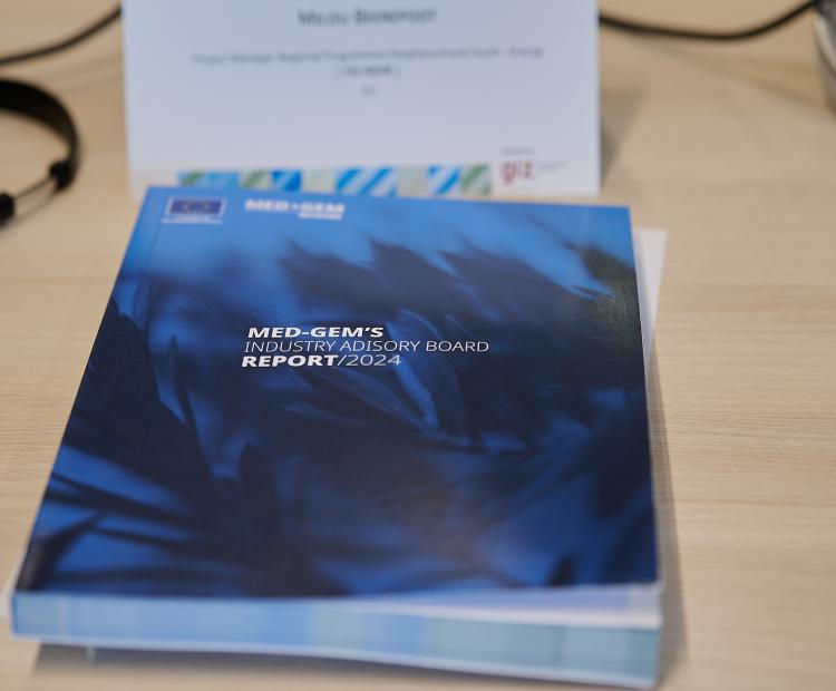 Rapport IAB MED-GEM 2024