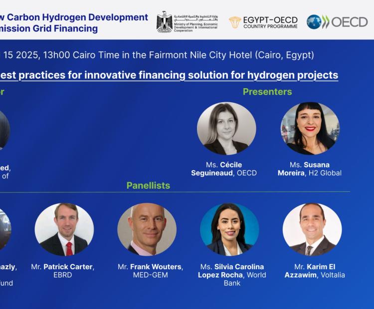 Frank Wouters, Director of the MED-GEM Network, took part in the Egypt Low Carbon Hydrogen Development and Transmission Grid Financing Workshop held on 15 April in Cairo, under the OECD Clean Energy Finance and Investment Mobilisation (CEFIM) Programme. 