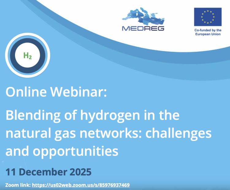 MEDREG Green Hydrogen Task Force Online Webinar