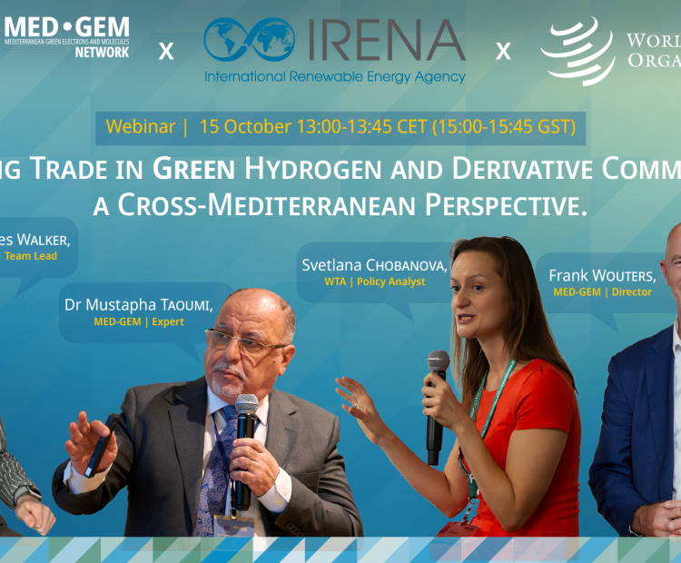 IRENA - WTO - MED-GEM Insights Webinar | 15 October 2025