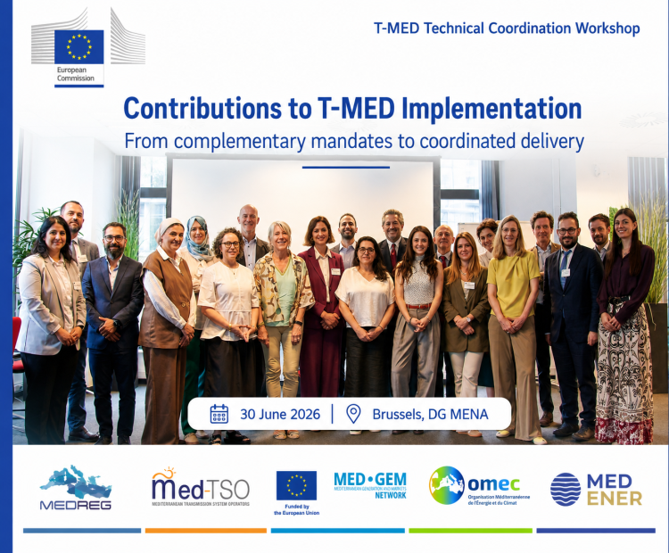 Regional Energy Partners Convene in Brussels to Move T-MED from Strategy to Implementation