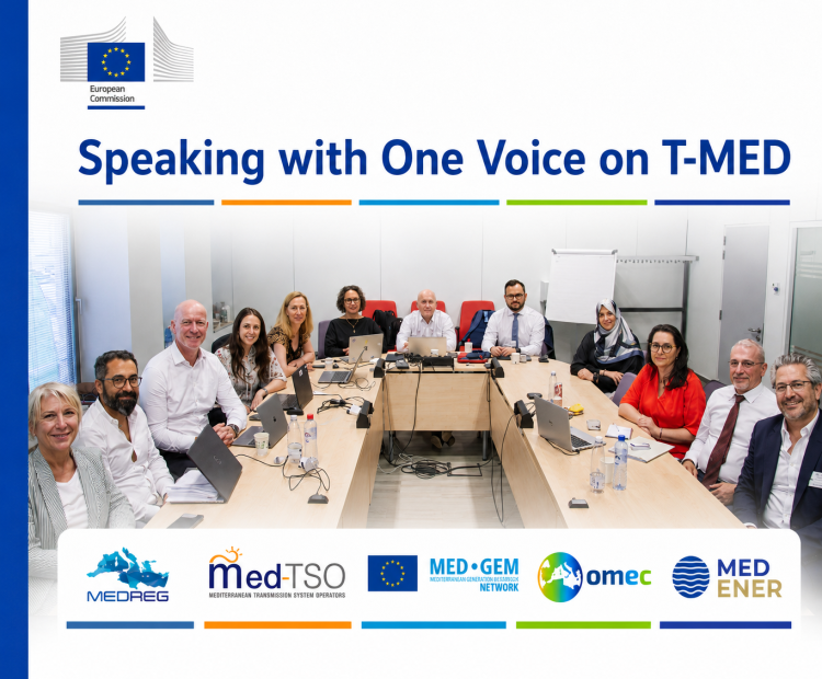 Building on the T-MED Technical Coordination Workshop held in Brussels on 30 June, MEDREG, Med-TSO, MED-GEM, OMEC and MedENER presented coordinated contributions to T-MED implementation at the Union for the Mediterranean Energy Platform on 1 July.