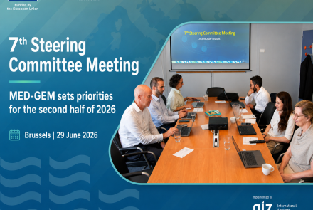 From Studies to Strategy: MED-GEM's Seventh Steering Committee Charts the Road to December 2026