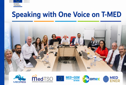 Building on the T-MED Technical Coordination Workshop held in Brussels on 30 June, MEDREG, Med-TSO, MED-GEM, OMEC and MedENER presented coordinated contributions to T-MED implementation at the Union for the Mediterranean Energy Platform on 1 July.