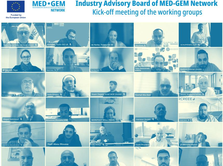 Mosaic of some participants of the online meeting