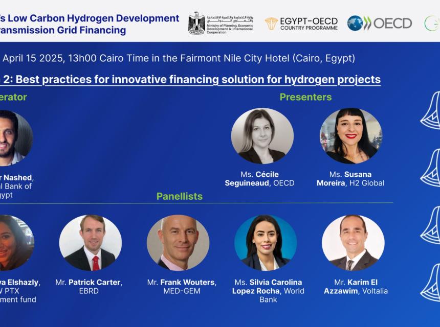 Frank Wouters, Director of the MED-GEM Network, took part in the Egypt Low Carbon Hydrogen Development and Transmission Grid Financing Workshop held on 15 April in Cairo, under the OECD Clean Energy Finance and Investment Mobilisation (CEFIM) Programme. 