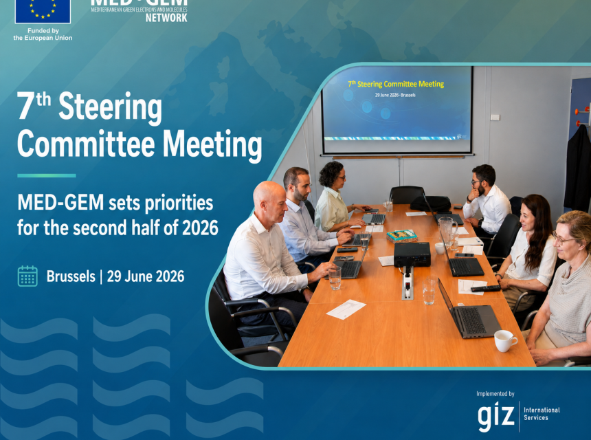 From Studies to Strategy: MED-GEM's Seventh Steering Committee Charts the Road to December 2026