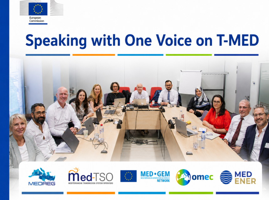 Building on the T-MED Technical Coordination Workshop held in Brussels on 30 June, MEDREG, Med-TSO, MED-GEM, OMEC and MedENER presented coordinated contributions to T-MED implementation at the Union for the Mediterranean Energy Platform on 1 July.